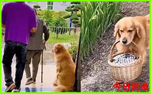 中国推荐旅游的城市